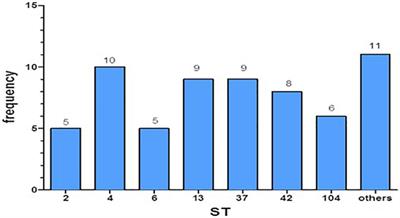 The <mark class="highlighted">Cytopathic Effect</mark> of Different Toxin Concentrations From Different Clostridioides difficile Sequence Types Strains in Vero Cells